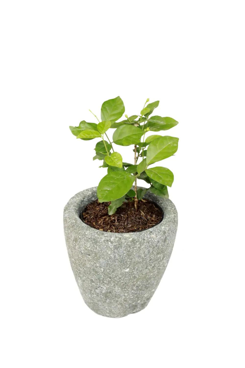  Product image 2 of the product “Planter, round, smooth, natural stone (Basanite), stonemasonry ”